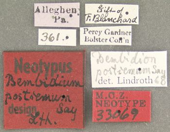 Media type: image;   Entomology 33069 Aspect: labels